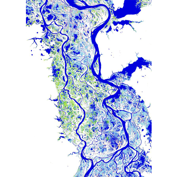 Logo Global Surface Water Explorer