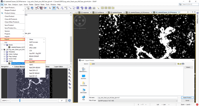 Convert raster to shape file