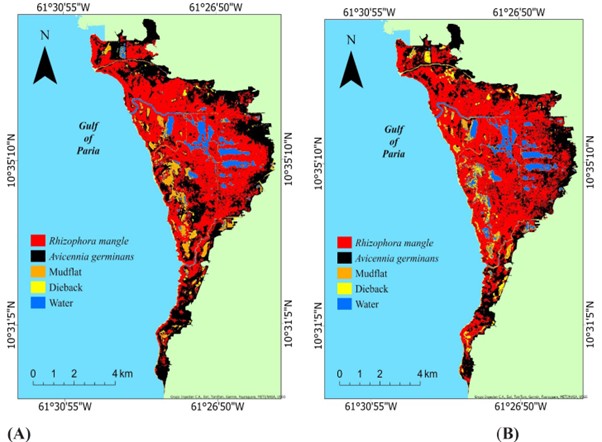 Two maps comparing dry and wet seasons for mangrove species near the Gulf of Paria