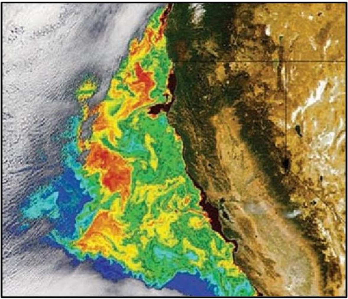 Figure 3 Estimated chlorophyll content off the coast of California using MODIS and SeaWiFS sensors, bright reds denote high concentrations and blues denote low quantities (Kumar and Reshmidevi, 2013).