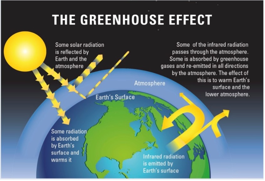 Figure 7: Greenhouse gases in our atmosphere absorb heat from the sun before re-emitting it. This, in effect, heats up the atmosphere as the heat becomes trapped (Royal Society, 2023)