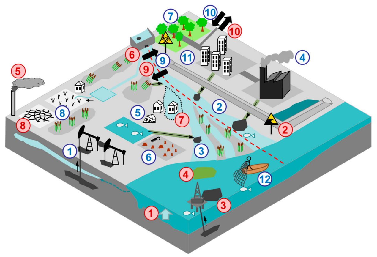 Figure 2. Major external (red) and internal (blue) threats in the river delta areas