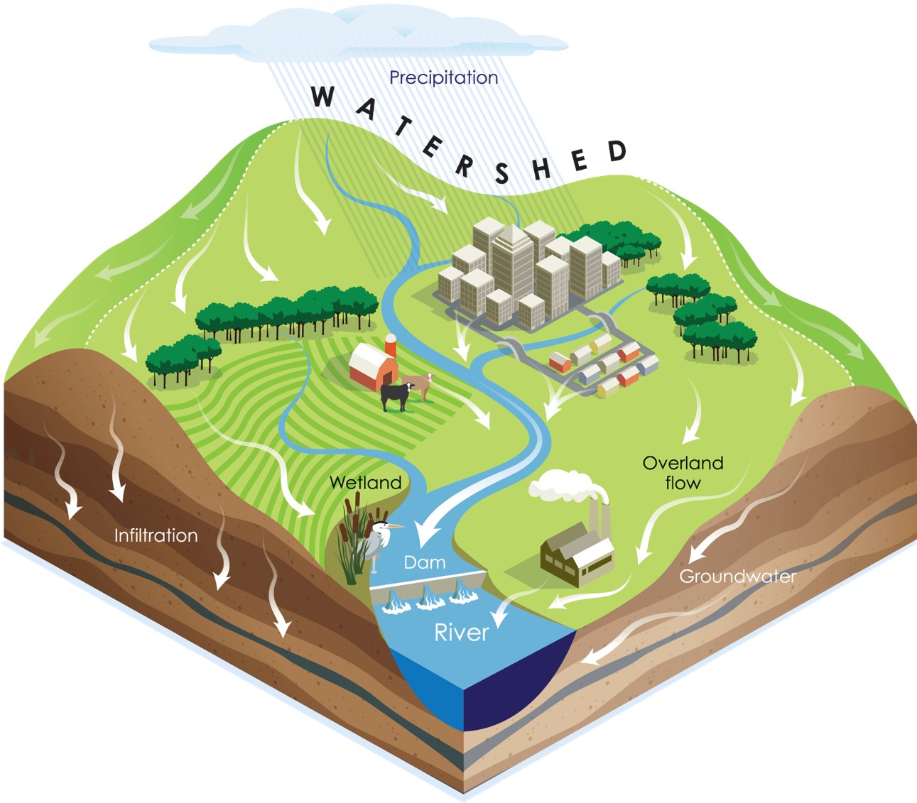 Figure 1. The main components of the watershed (Agency of Natural Resources, 2023). The white arrows indicate the movement or transfer of water in the watershed.