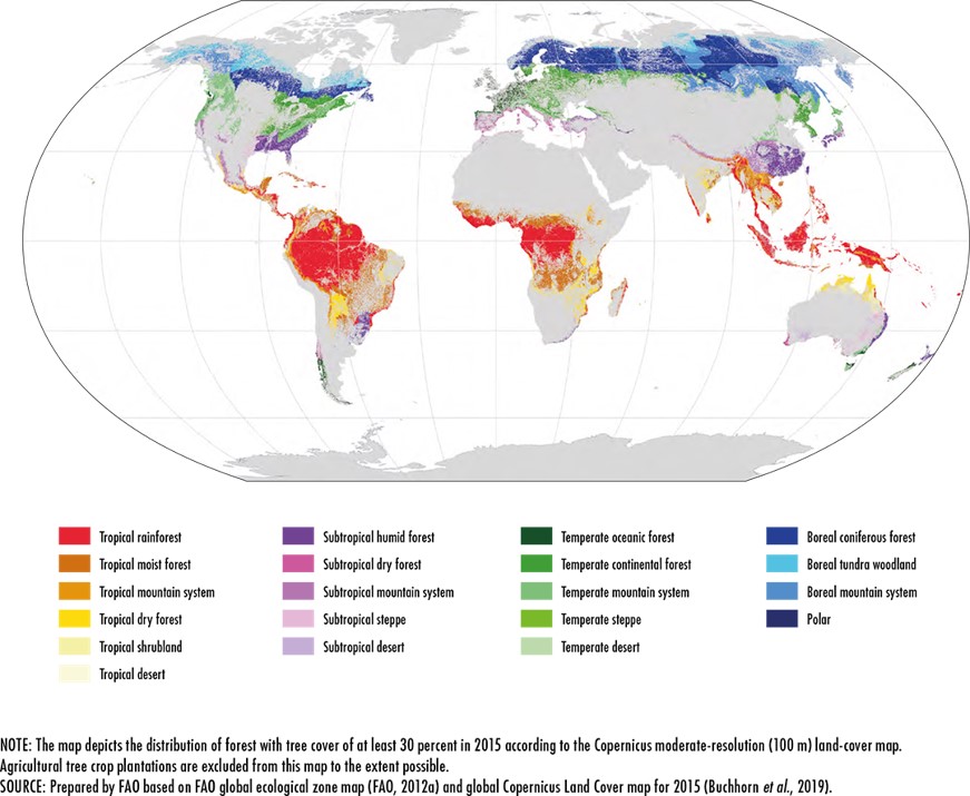 Figure 2. Map of forest distribution by global ecological zone (FAO and UNEP, 2020).