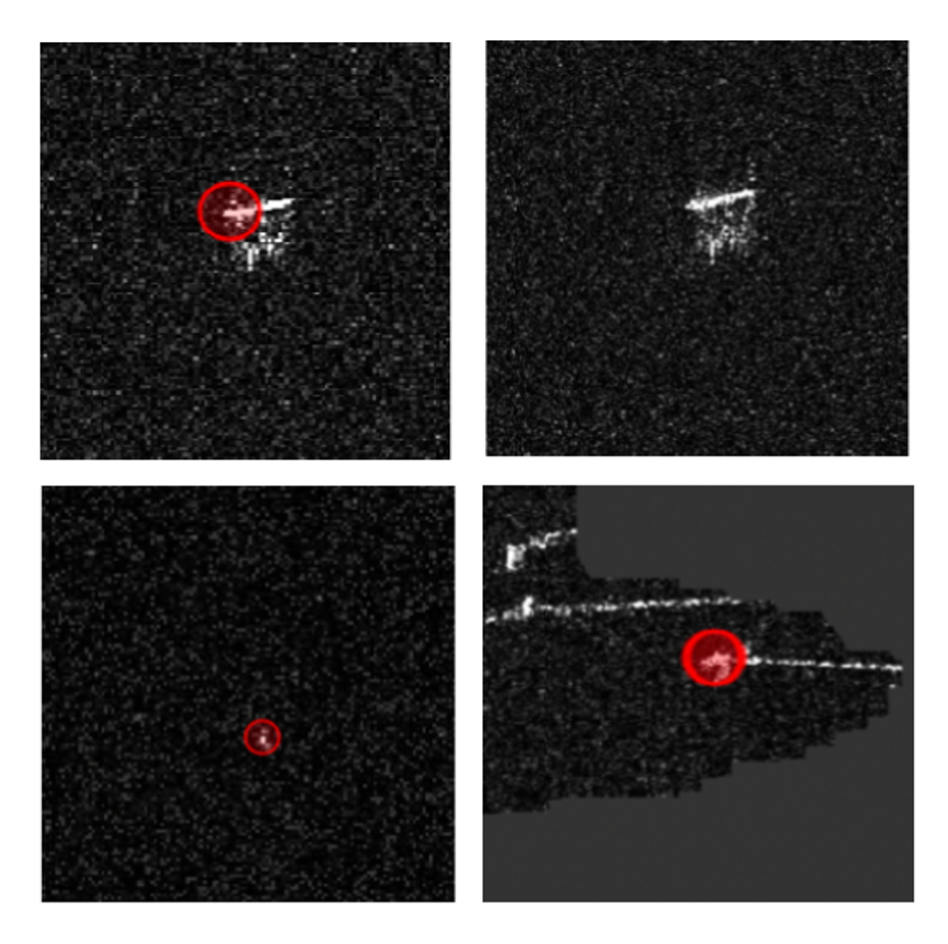 Figure 3: Examples of true positive (upper left), false negative (upper right), false positive (lower left), false positive near the coast (lower right)