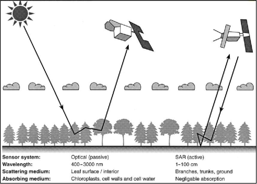 Figure 4: Simplified Geometry of a Synthetic Aperture Radar (SAR) System including the satellite, the flight direction, the look angle the radiated pulses and the ground swath (Lauknes, 2011)