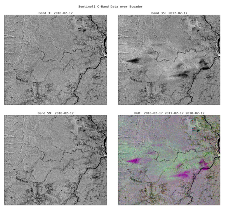 Figure 8: Example of how moisture influences the enhancement and darkening of backscatter (Kellndorfer et al., 2019).