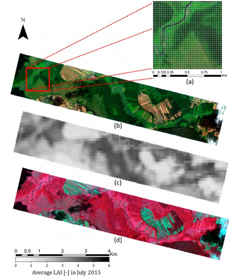 Figure 6 - Comparison of an APEX image (spatial resolution of 2 m) of a part of the Biebrza Park acquired on 14 July 2015 in true colours (b) in false colours (d) and the map obtained with the TREX tool representing the average LAI for July 2015 generated from PROBA-V images at 100m resolution and a reference map at 30m resolution (c). Top right, zoom on an area of 1 × 1 km with a 30 m grid (a). (Source: Belgian Earth Observation, 2020)