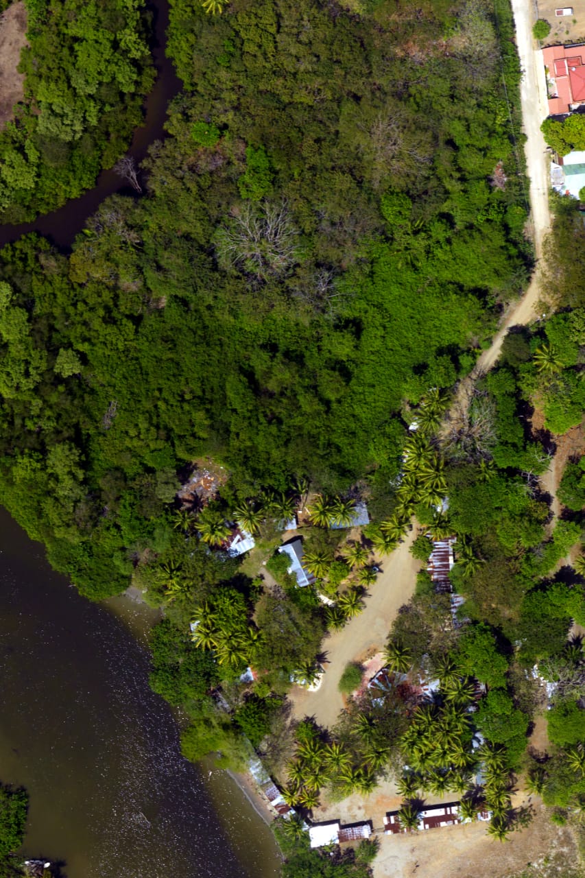 Samara Mangrove, Photo by: María José Molina