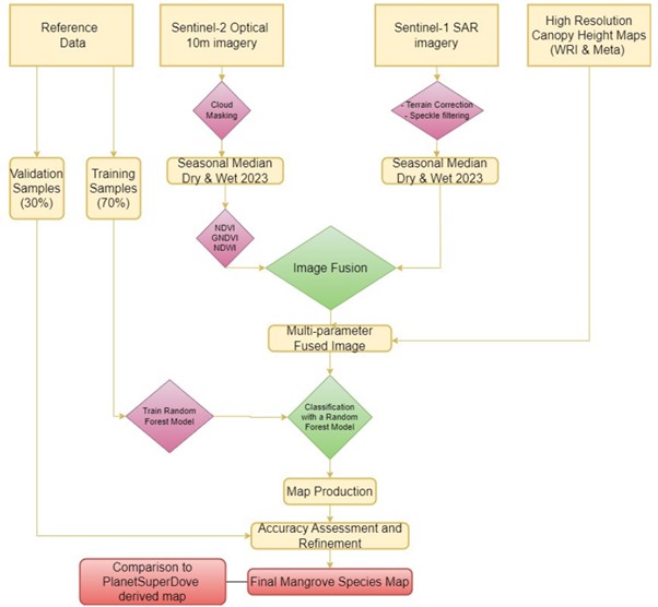 Diagram of methodological workflow for mangrove species distribution