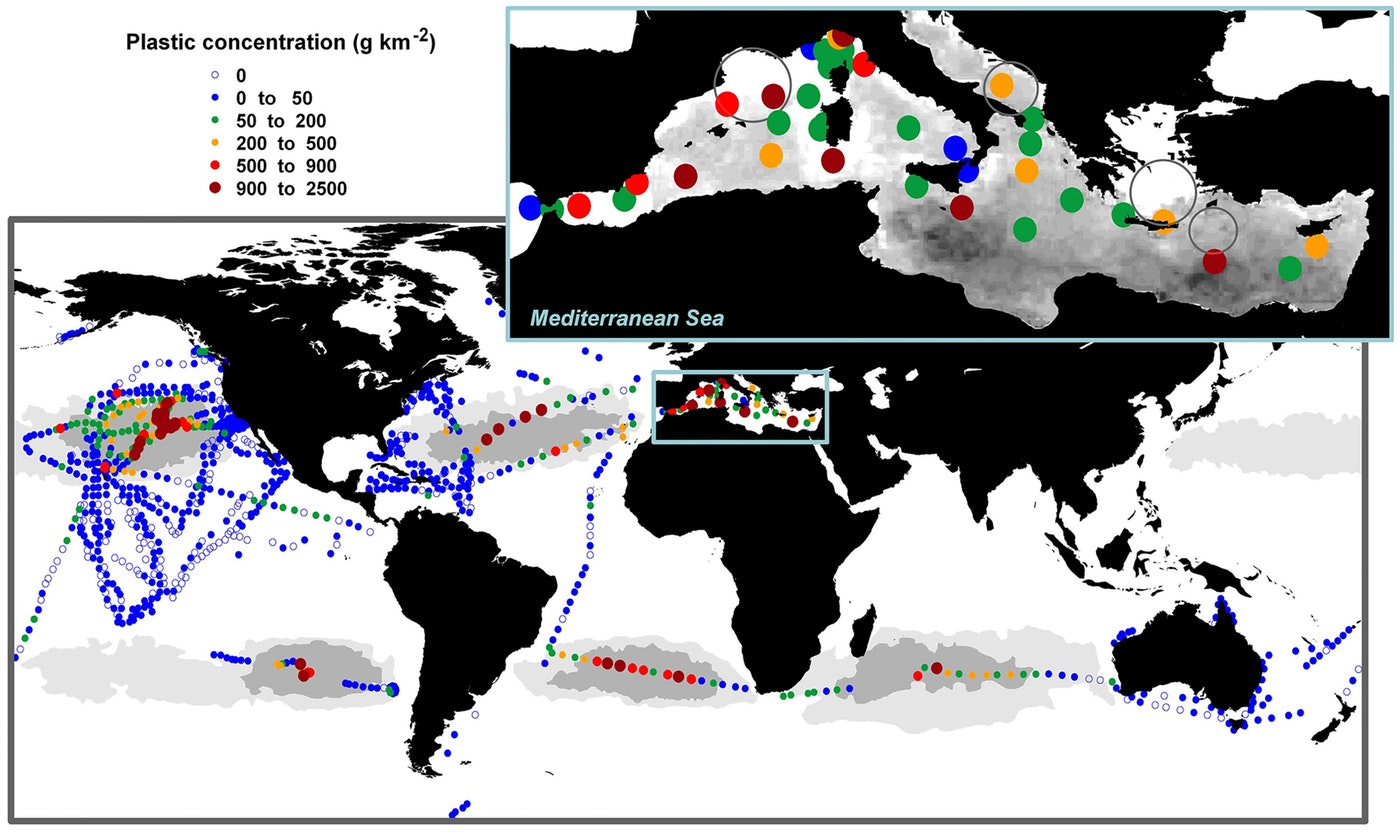 Figure 2: Plastic litter in global oceans.