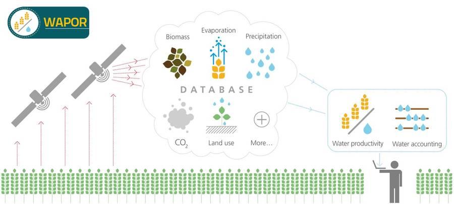 FAO WaPOR database. 
