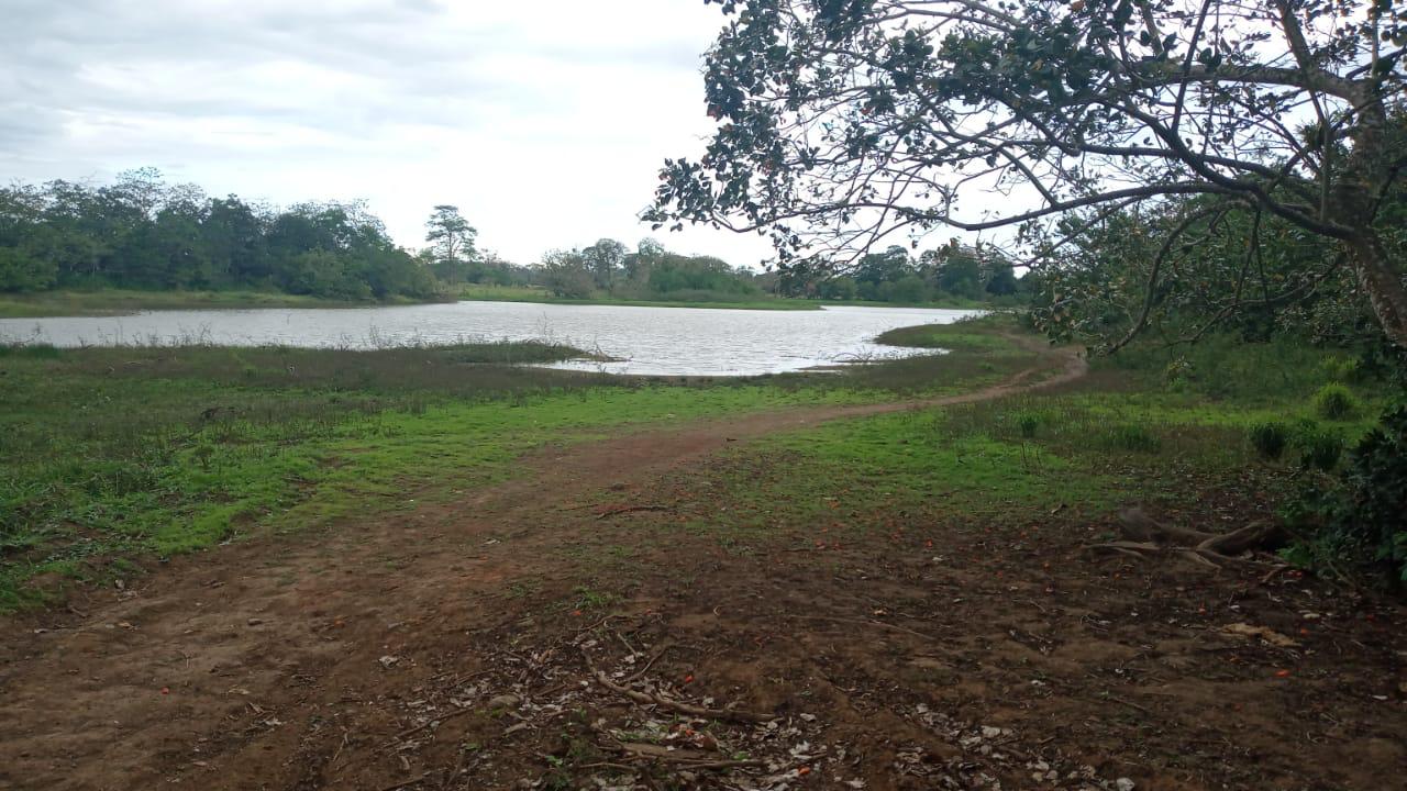 Photo of the Cano Negro Wetland by María José Molina