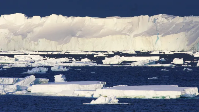 Photo of ice shells on the sea