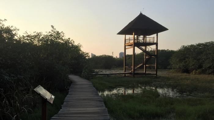 Beddagana wetland Park in western province, outside of Colombo. Photo by Sureshkumar1213. CC.