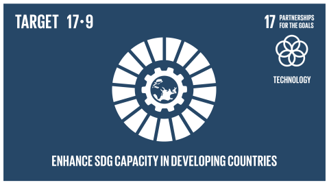 Graphic displaying the enhancement of SDG capacity in developing countries 