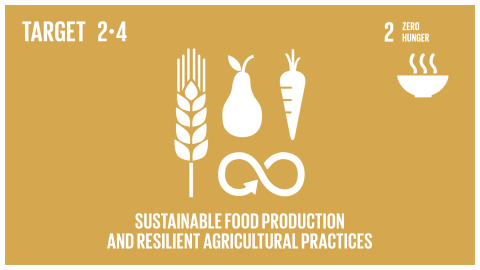 Graphic displaying sustainable food production and resilient agricultural practices 