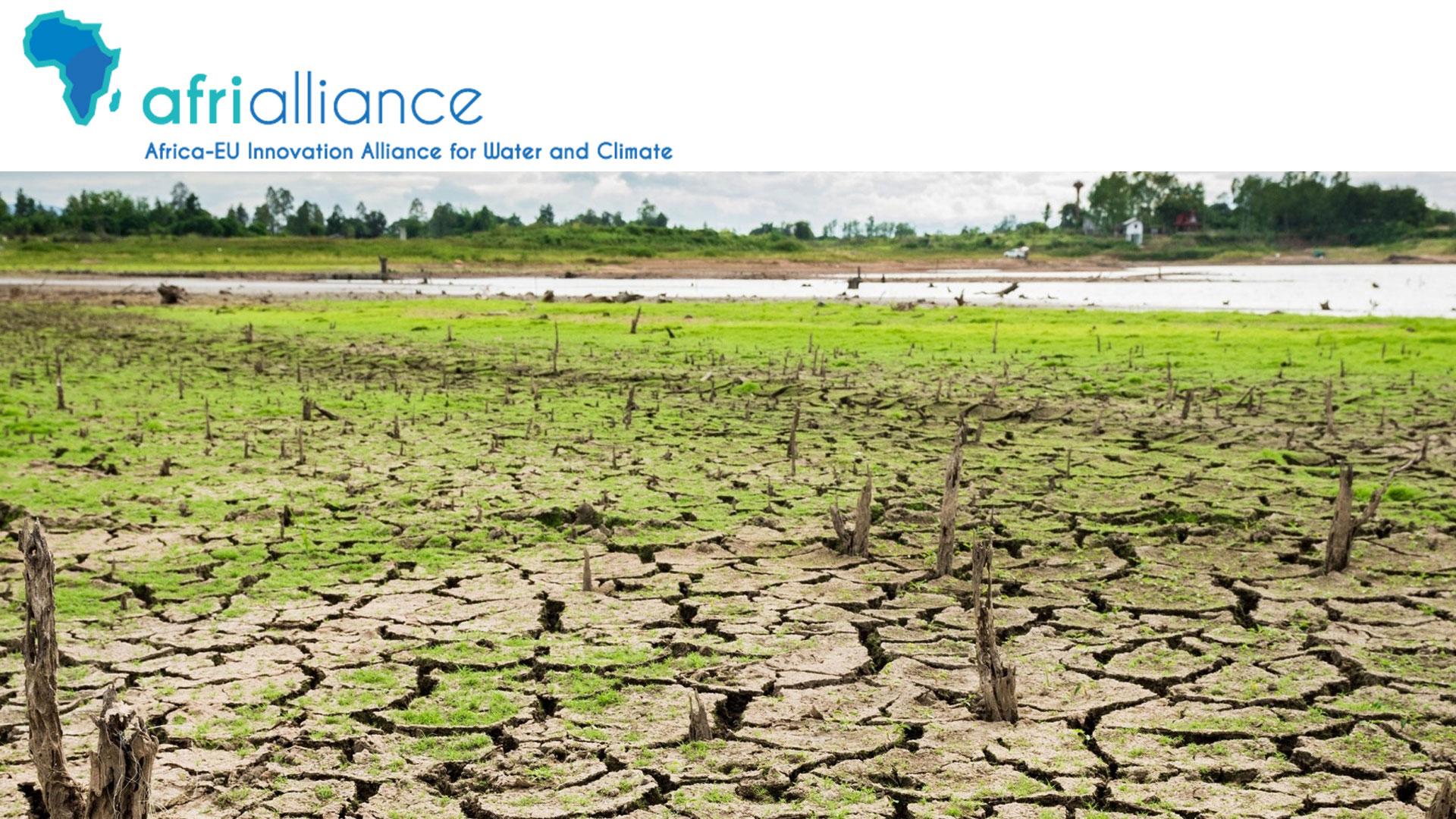 Afri Alliance Knowledge Hub Banner