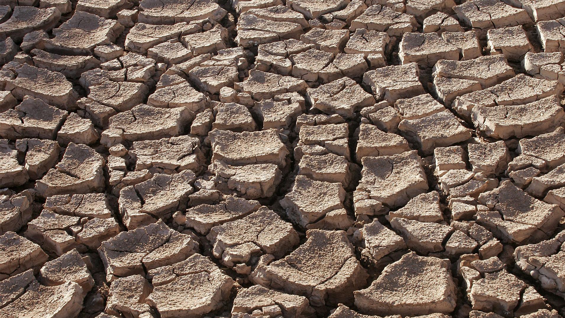 Dry soil