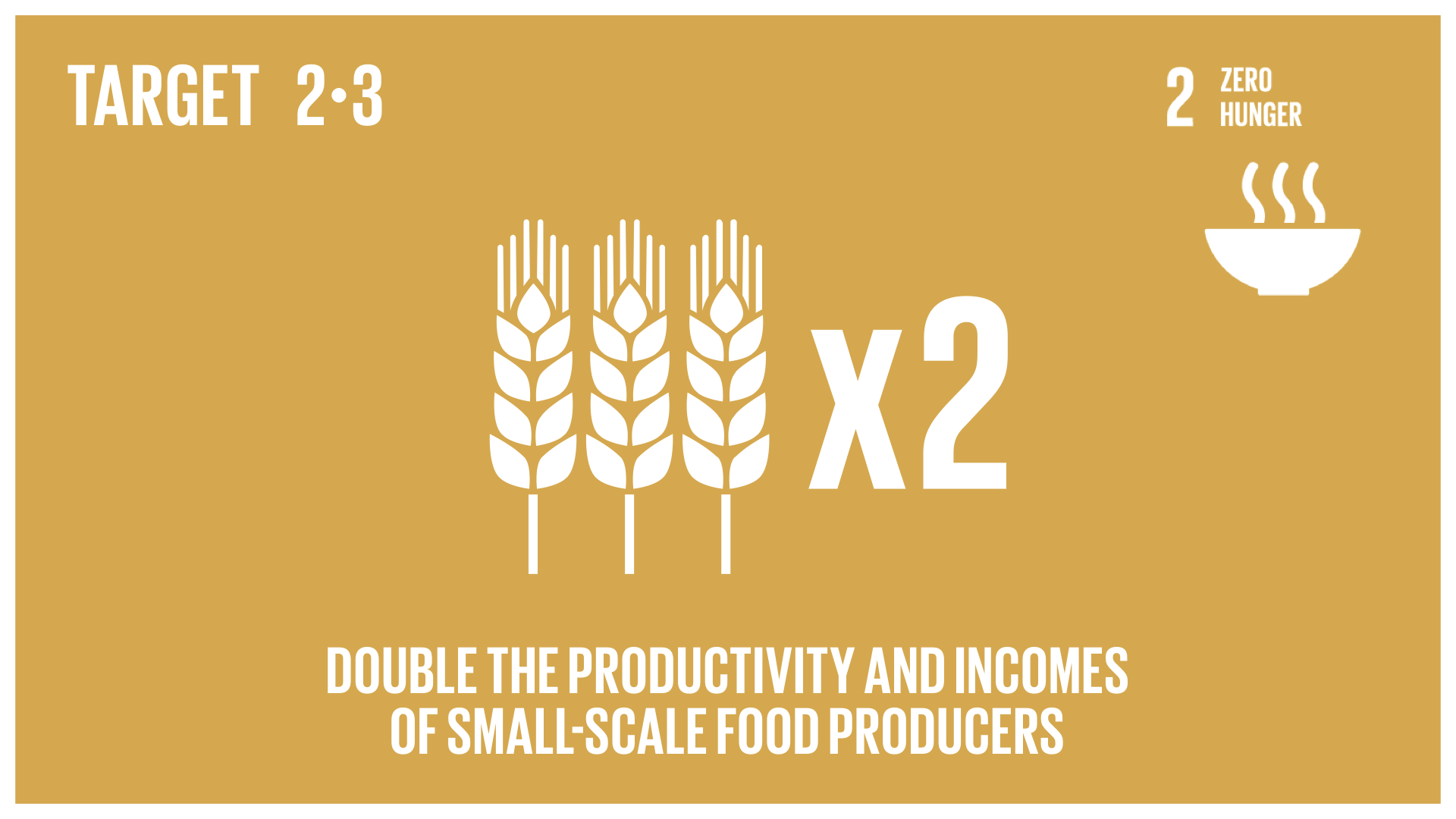 Graphic displaying the doubling of productivity and incomes of small-scale food producers 