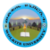 Logo of Wolkite University